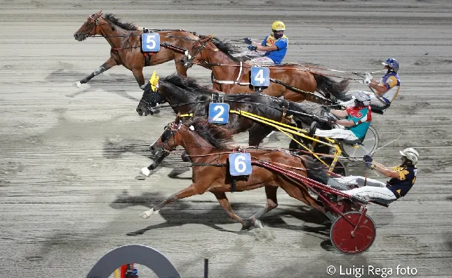 Ippica, ippodromo Cesena Trotto: resoconto delle corse di sabato 6 luglio 2024