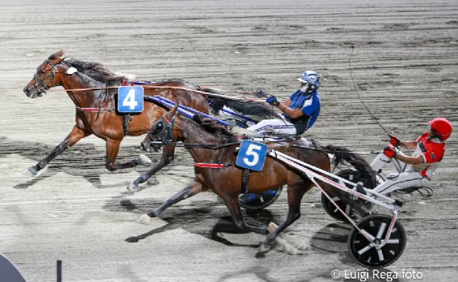 Ippica, Ippodromo Cesena Trotto: il resoconto delle corse di martedì 16 luglio 2024