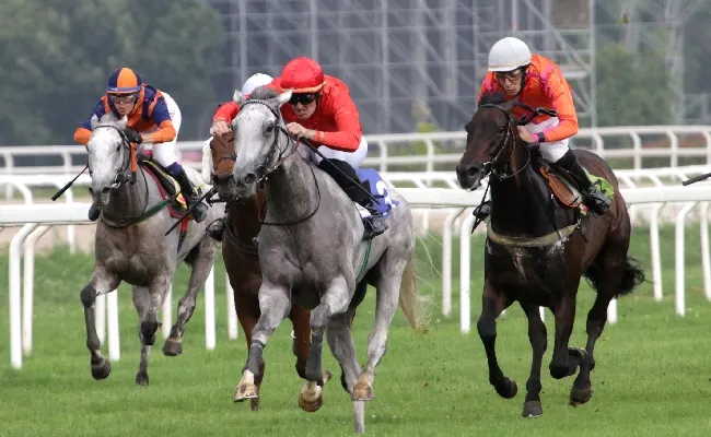 Ippica, venerdì sera l’Ippodromo Snai San Siro ospita la giornata di galoppo delle Bettole di Varese con sei prove. In pista dalle ore 20:15