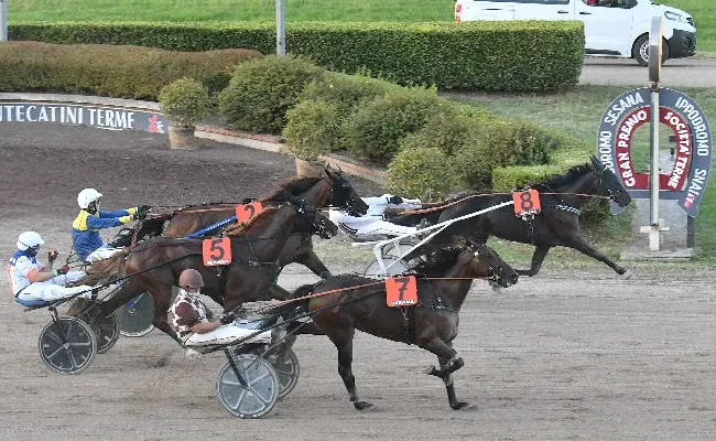 Ippica: all'ippodromo Snai Sesana 1400 spettatori ad applaudire Fuente Cas, vincitore del Gran Premio Società Terme - Memorial Vivaldo Baldi