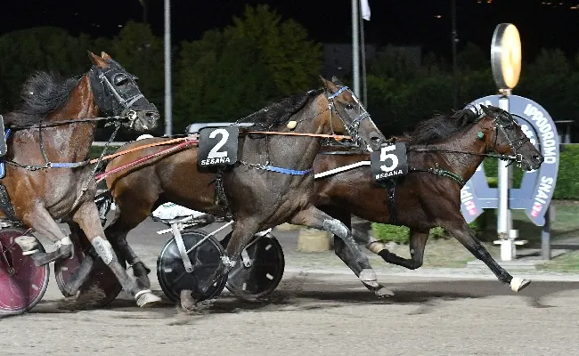 Ippica, sabato sera all’Ippodromo Snai Sesana con sette corse griffate Zelari Piante. Il vincente della prova più importante stacca il ‘pass’ per partecipare al Gran Premio Città di Montecatini di Ferragosto