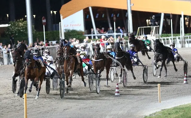 Ippica, ippodromo Cesena Trotto: presentazione delle corse di sabato 27 luglio 2024