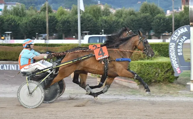 Il sabato sera all’Ippodromo Snai Sesana premia Vesna che vince il Premio Zelari Enterprise davanti a circa 1.400 spettatori e stacca la wild card per il Gran Premio Città di Montecatini di ferragosto