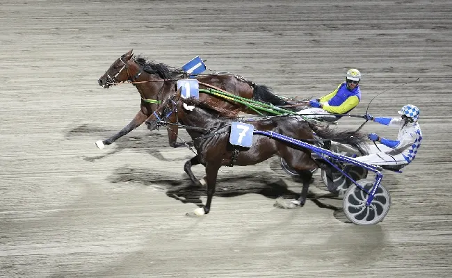 Ippica, Ippodromo Cesena Trotto: il resoconto delle corse di sabato 27 luglio