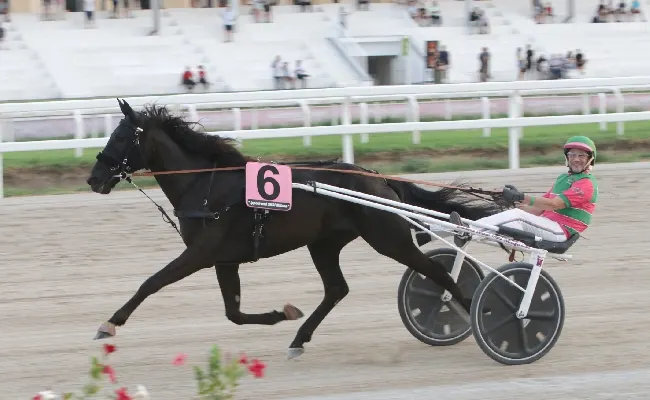 Ippica: alla 'prima' di agosto all'ippodromo Snai San Siro di trotto, sigillo di Every Time Winner nel premio intitolato a Darif Effe