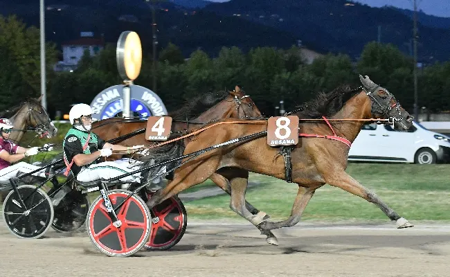 Ippica, all'Ippodromo Snai Sesana lo spettacolo delle Pariglie nel Premio della Nazione premia Dynamite Kandy e il tris di Country Gial. Il Trotto-Montato Premio Cavallo 2000 lo vince Baccani