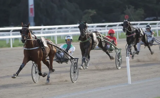 Ippica, giovedì sera all'Ippodromo Snai San Siro con la 24^ giornata di trotto a partire dalle ore 20.25. Sette corse con clou il Premio Eril Bs