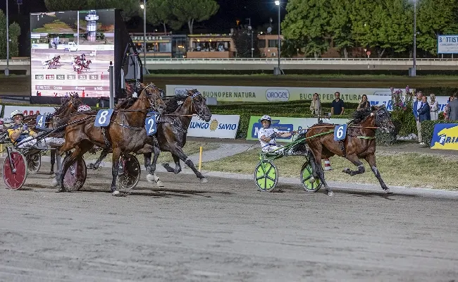 Ippica, Ippodromo Cesena Trotto: presentazione corse di sabato 10 agosto 2024