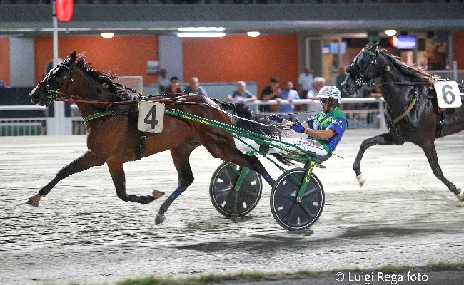 Ippica, Ippodromo Cesena Trotto: il resoconto delle corse di martedì 13 agosto