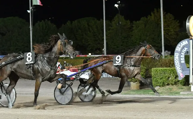 Ippica, il sabato post Ferragosto all'Ippodromo Snai Sesana conferma la vena vincente di Goldie Home nel clou della serata per il Premio Sari del Rosso