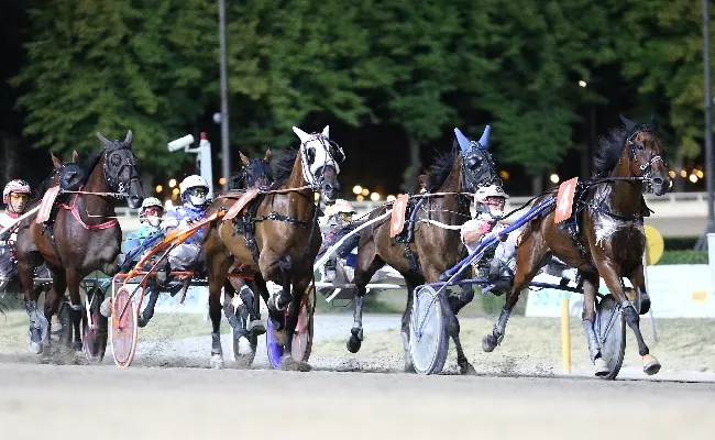 Ippica, Ippodromo Cesena Trotto: presentazione delle corse di martedì 20 agosto