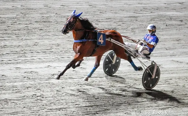 Ippica, Ippodromo Cesena Trotto: resoconto delle corse di martedì 20 agosto 2024