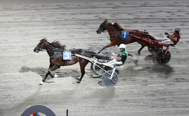 Ippica, Ippodromo Cesena Trotto: resoconto delle corse di lunedì 26 agosto 2024