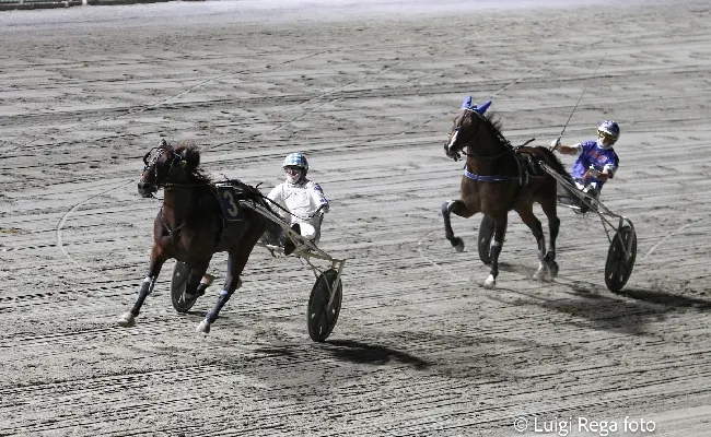 Ippica, Ippodromo Cesena Trotto: resoconto delle corse di sabato 31 agosto 2024