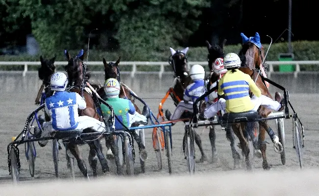 Ippica, Ippodromo Cesena Trotto: presentazione delle corse di martedì 3 settembre 2024