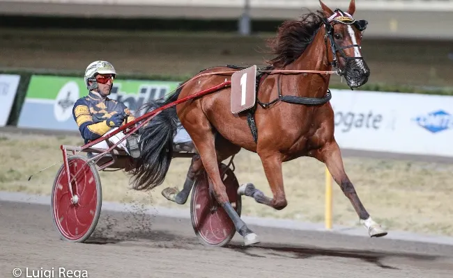 Ippica, Ippodromo Cesena: Campionato Europeo di Trotto Orogel 2024