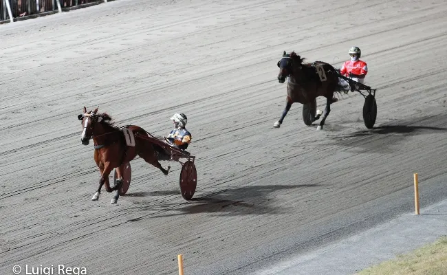 Ippica, Ippodromo Cesena Trotto: presentazione delle corse di sabato 7 settembre