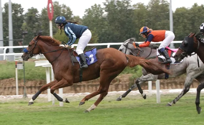 Ippica: mercoledì di galoppo all'Ippodromo Snai San Siro nel segno di Chewbacca, che si aggiudica il Premio Ancilla Ferrario-Trofeo Irish Thoroughbred Marketing