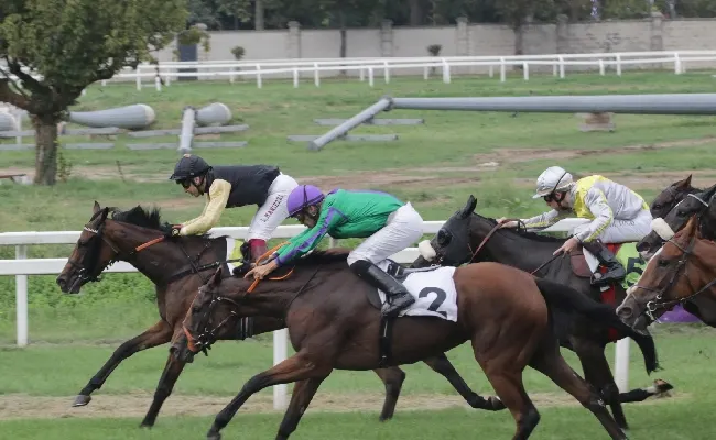 Ippica, sabato di galoppo all'Ippodromo Snai San Siro con sette corse, tra cui il Premio Bessero, il Cancelli e il Fassati di Balzola. Tanta animazione ed intrattenimento per famiglie e bambini