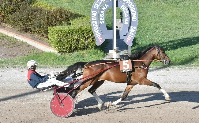 Ippica, all'Ippodromo Snai Sesana una domenica "in famiglia" con tanti bambini affascinati dallo spettacolo del trotto. In pista Goldwin Cr si conferma nella prova più importante