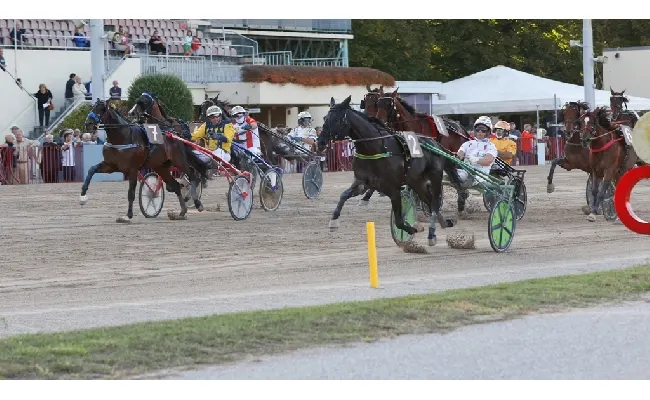 Ippica, Ippodromo Arcoveggio Bologna: domenica in programma il 76° Gran Premio Continentale-Trofeo Tomaso Grassi