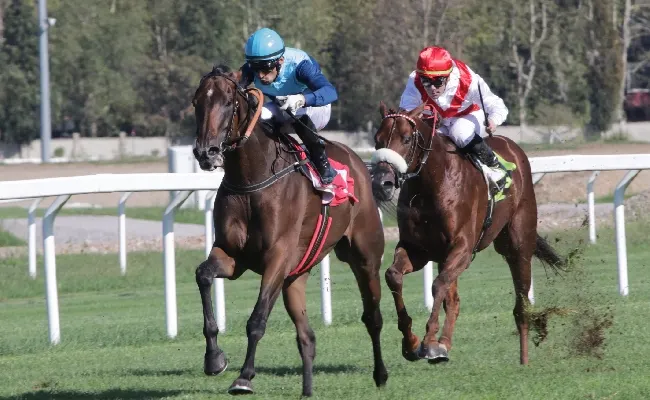 Ippica: all'Ippodromo Snai San Siro bel mercoledì di galoppo a partire dalle ore 14:30. Tra le sette corse spicca la prova condizionata in ricordo di Riccardo Zanocchio