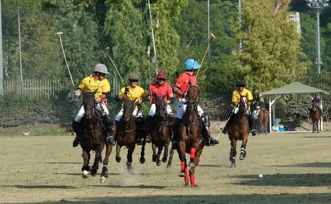 Campionato Italiano U.S. Polo Assn., numeri da record per l'edizione 2024: nove squadre iscritte. Si parte domani al Roma Polo Club, domenica 6 ottobre le finali e l'evento charity 'Polo for Smiles'