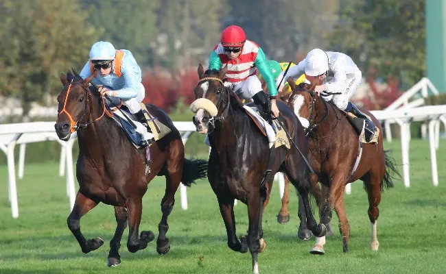 Ippica, il mercoledì di galoppo all’Ippodromo Snai San Siro premia Sopran Pechino che vince il Premio Riccardo Zanocchio