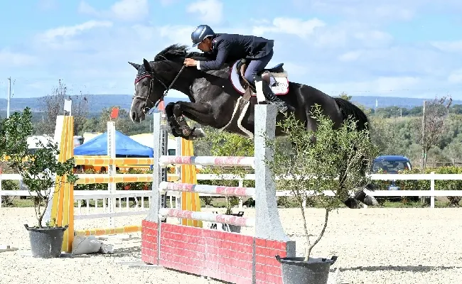Equitazione, salto ostacoli: 256 binomi hanno gareggiato a Tanca Regia per la semifinale del Trofeo dei Nuraghi