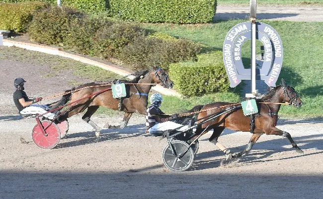 Ippica: all'ippodromo Snai Sesana sabato di trotto con un mix di passione, divertimento e di solidarietà per Giulia