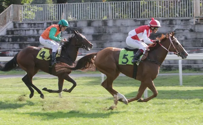Ippica, super domenica all'Ippodromo Snai San Siro con l'animazione e l'intrattenimento per le famiglie e i bambini con l'Ippo-Olimpiade, mentre in pista è spettacolo con il Premio Verziere e il Cumani