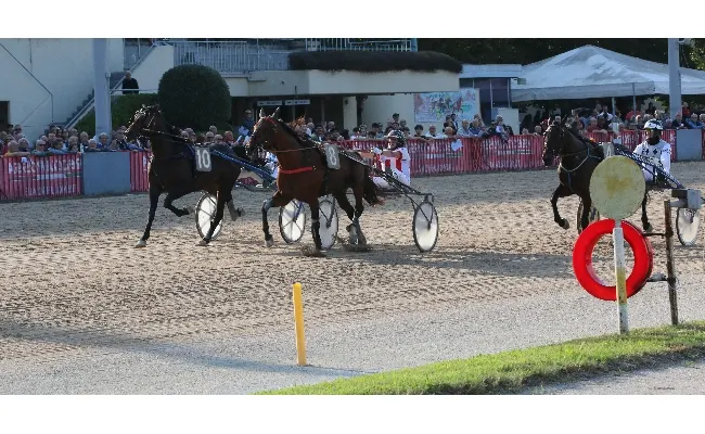 Ippica, all’Ippodromo di Bologna domenica 6 ottobre con le migliori guide del panorama nazionale