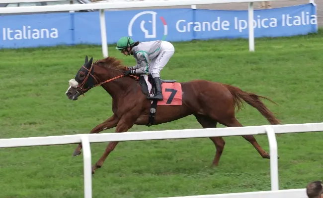 Ippica: all'Ippodromo Snai San Siro, nel venerdì che ha fatto da "antipasto" alla super domenica con il Verziere e il Cumani, Blackchester e Verso Le Stelle vincono i due Handicap Limitati