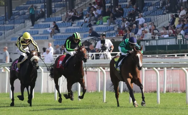 Ippica, all'Ippodromo Snai San Siro mercoledì con sei corse tra cui la Maiden per il Premio Schiapparelli e l'Handicap per il Premio Cherry Mix, validi per la 40^ giornata stagionale di galoppo