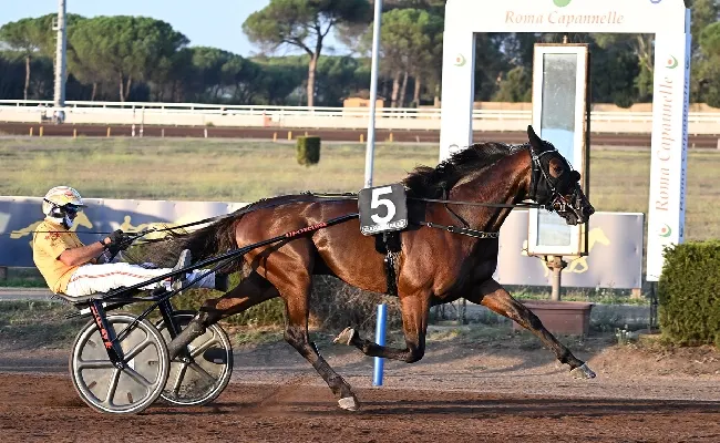 Ippica. Falco Killer Gar favorito nel Derby ma la concorrenza è ampia. Funny Gio, trionfo a 1,45 su Sisal.it, senza rivali nelle Oaks