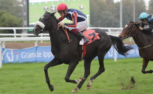 Ippica, all'Ippodromo Snai San Siro mercoledì di galoppo su una pista pesante con Gray Chance che vince la maiden per lo Schiapparelli e Shesolucky che fa sua la prima nursery della stagione a Milano