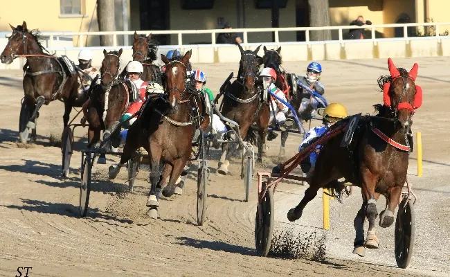 Ippica, Ippodromo Arcoveggio di Bologna: domenica 13 ottobre otto corse con centrale sulla distanza “maratona”