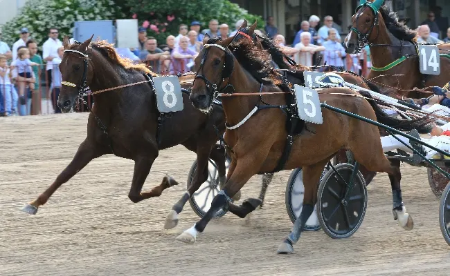 Ippica, giovedì 17 ottobre all’Ippodromo di Bologna otto corse e finale con Tris