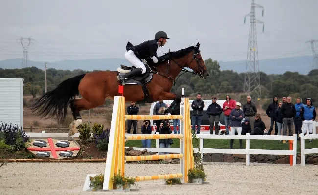 Equitazione, salto ostacoli: 250 iscritti al Sardegna Jumping Tour e finale del Trofeo dei Nuraghi di Tanca Regia con 151 mila euro di montepremi