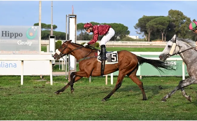 Ippica, Max Allegri fa festa a Capannelle nel Roma Champions Day: Mr Darcy trionfa nel Premio Ribot, Sun Never Sets seconda nel Lydia Tesio vinto da Sioux Life