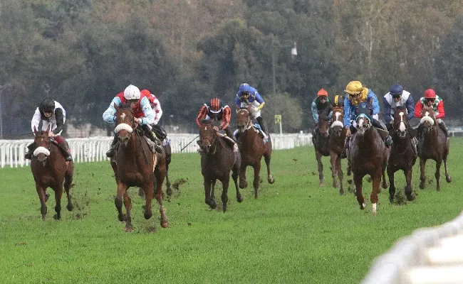 Ippica, fine settimana con due giornate di galoppo all'Ippodromo Snai San Siro: venerdì 1 con il Premio Fiume e il Premio Castello Sforzesco, poi domenica 3. Attività di animazione e intrattenimento per tutte le età
