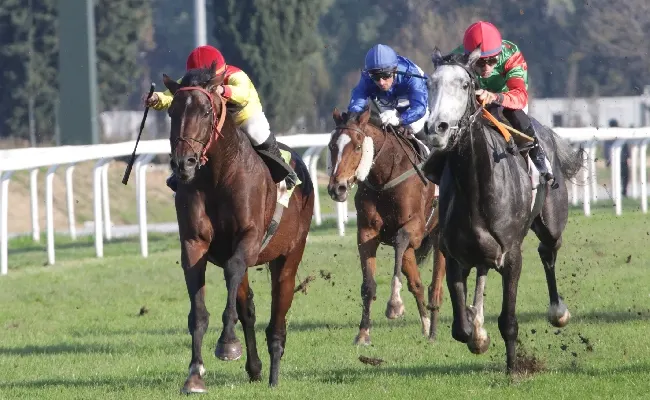 Ippica: la domenica di galoppo all'Ippodromo Snai San Siro dedicata ai donatori di sangue vede Lethal Spirit confermarsi nel Premio Avis Milano, mentre nel tosto Premio Donatori di Sangue Grey Creek la spunta al fotofinish