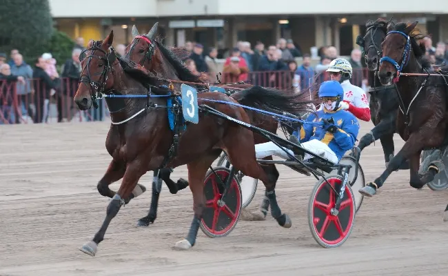 Ippodromo Arcoveggio Bologna: giovedì 7 novembre con grandi guide e velocisti, nel finale Tqq
