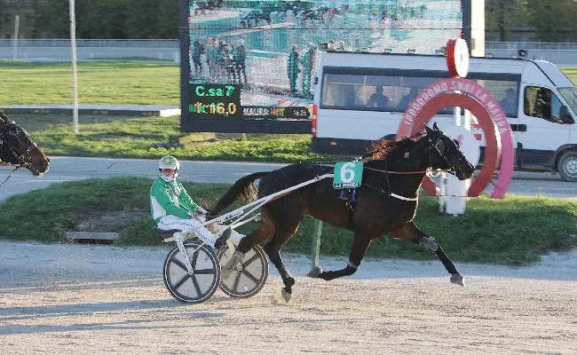 Ippica, venerdì all'Ippodromo Snai San Siro va in scena il ‘Trofeo Luigi Canzi' per la 31^ giornata di trotto stagionale. Sette prove a partire dalle ore 14:30