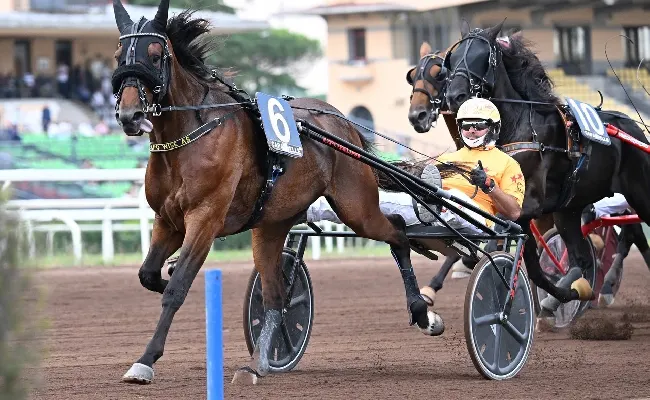 Ippica, sabato 9 novembre trotto di qualità all’Ippodromo Capannelle