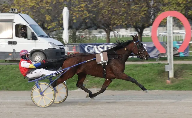 Ippica, nel bel venerdì di trotto all'Ippodromo Snai San Siro il “Trofeo Luigi Canzi” va allo svedese Ultion Face e in sediolo all'allievo Andrea Ferrara