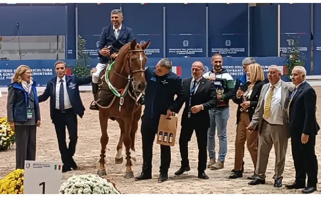 Fieracavalli di Verona e allevamento: 47 puledri sardi su 89 finalisti. L'anglo-arabo Fly Magic campione nazionale dei 3 anni