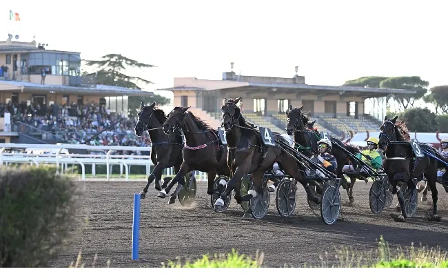 Ippica, Ippodromo Capannelle: sabato 16 novembre lussuoso convegno di trotto con i Gran Premi Triossi e Carena