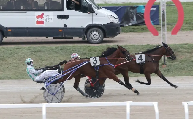 Ippica, all’Ippodromo Snai San Siro venerdì di trotto con le vittorie di Golden Gio nel Premio Cornelia Op e di Vaprio nel Premio Silverado Lux per il trotto montato