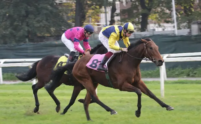 Ippica, la nebbia ferma le ultime due corse del sabato di galoppo all’Ippodromo Snai San Siro ma non Hanting che vince l’edizione milanese del Berardelli. Sigilli di Fast Spirit e Lao Tzu nel Criterium Femminile e nel Rumon. Il Falck è di Taany